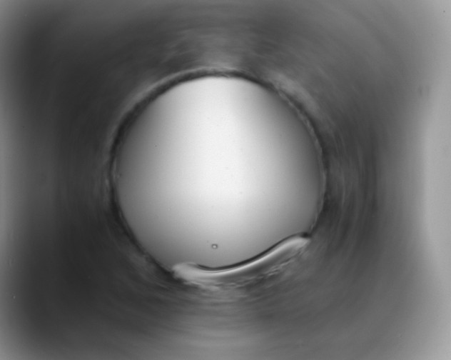 X0000089871168200707191933