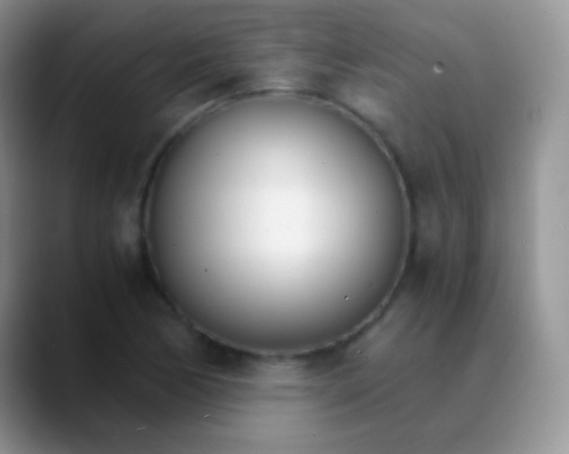 X0000089871170200707191933