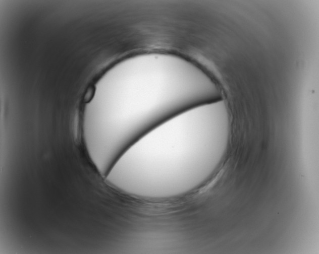 X0000089871171200707191933