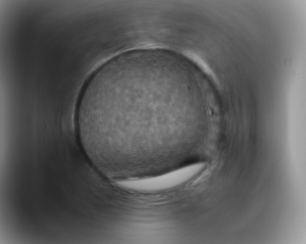 X0000089871173200707191933