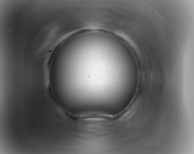 X0000089871175200707191933