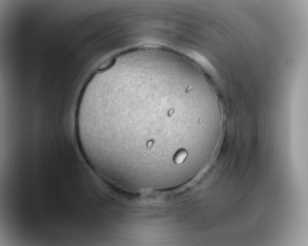 X0000089871183200707191933