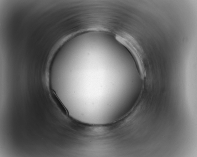 X0000089871188200707191933