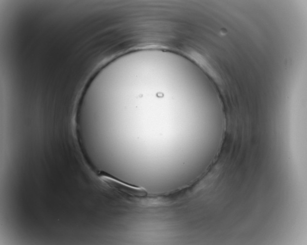 X0000089871189200707191933