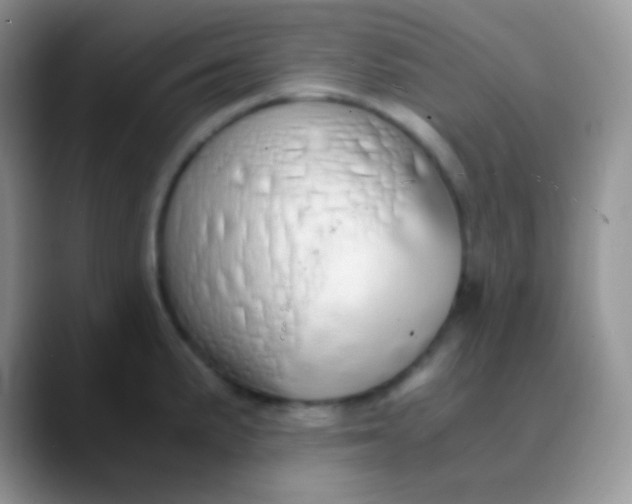 X0000089871191200707191933