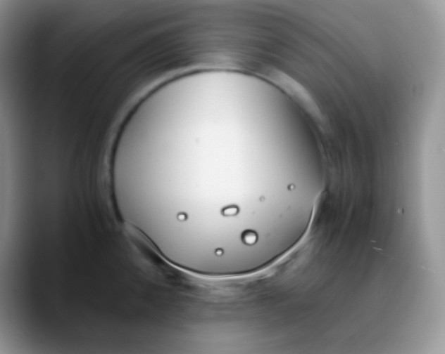 X0000089871192200707191933