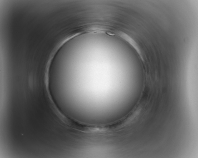 X0000089871195200707191933