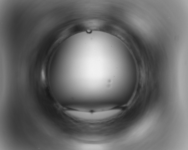 X0000089871198200707191933