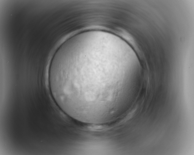 X0000089871199200707191933