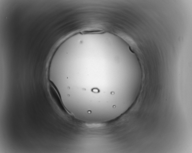 X0000089871200200707191933