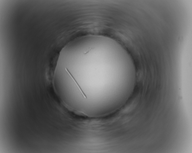 X0000089871202200707191932