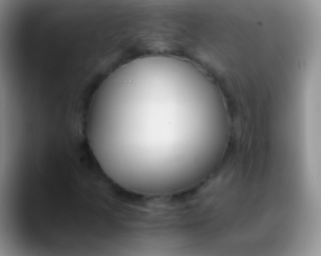 X0000089871205200707191932