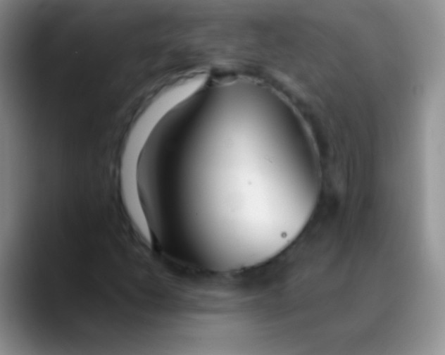 X0000089871206200707191932