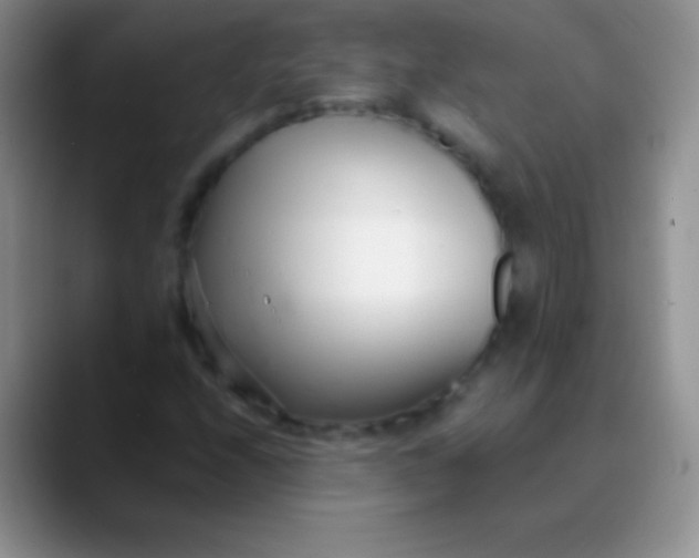 X0000089871208200707191932