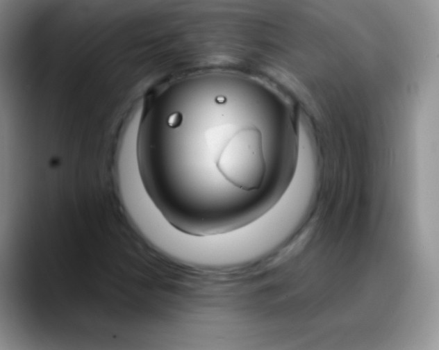 X0000089871210200707191932