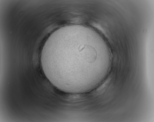 X0000089871211200707191932