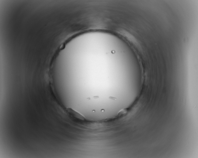 X0000089871212200707191932