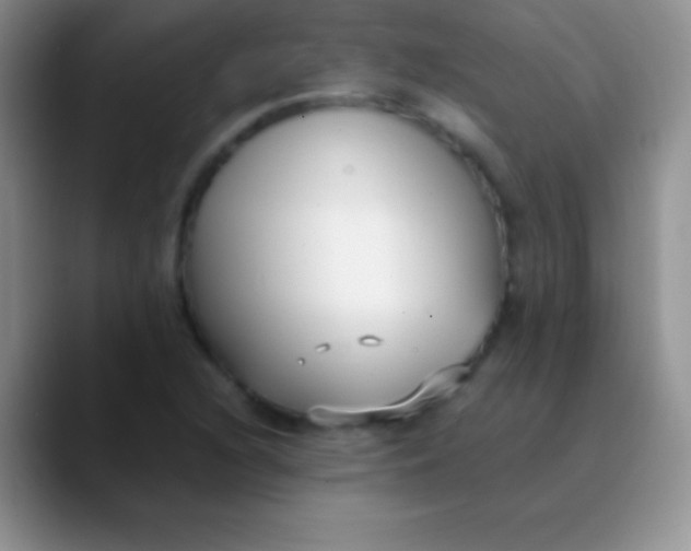 X0000089871216200707191932