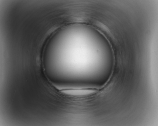 X0000089871218200707191932