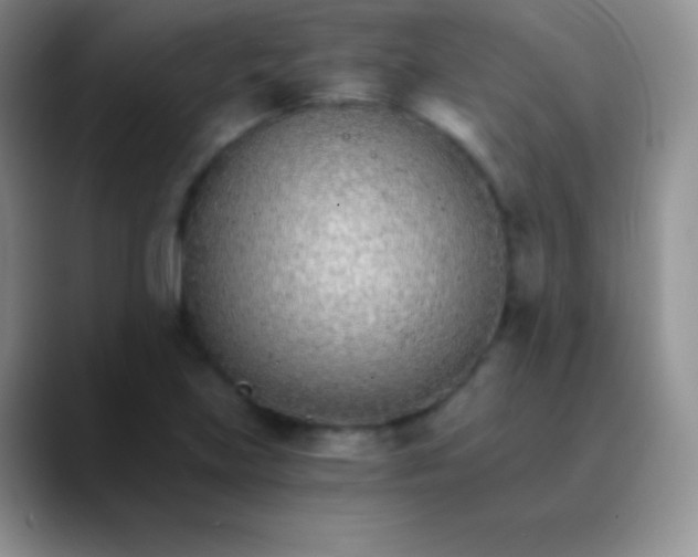 X0000089871219200707191932