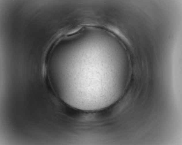 X0000089871221200707191932