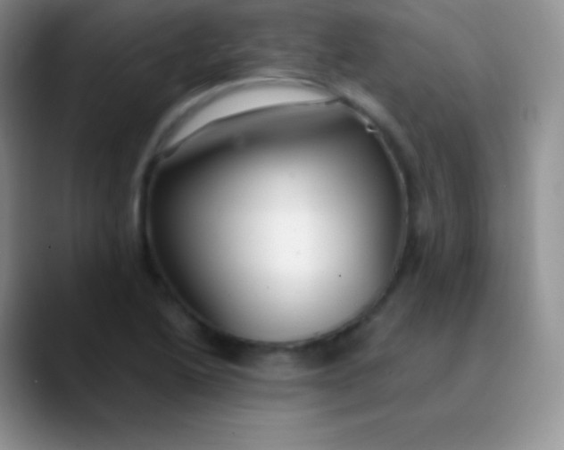 X0000089871222200707191932