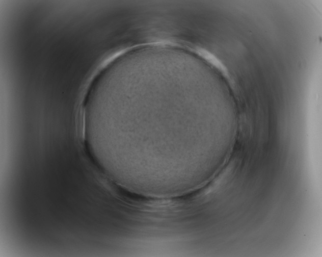 X0000089871223200707191932