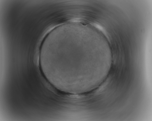 X0000089871227200707191932