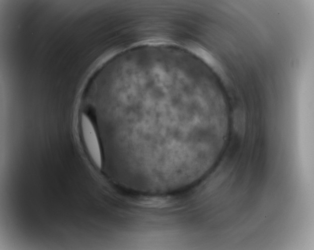 X0000089871229200707191932