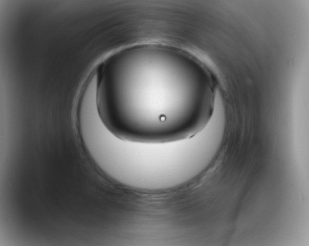 X0000089871230200707191932