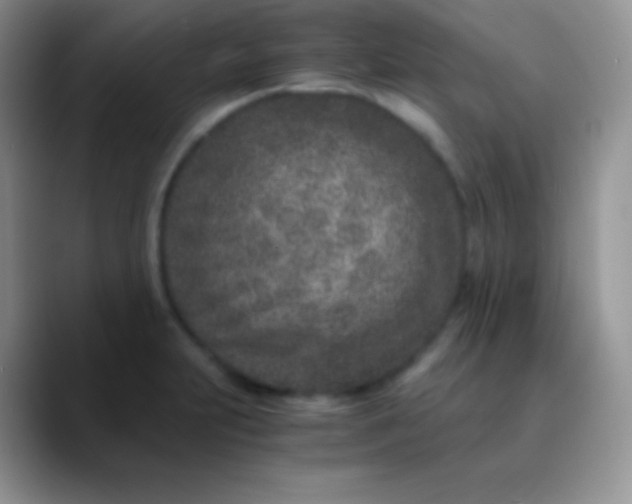 X0000089871231200707191932