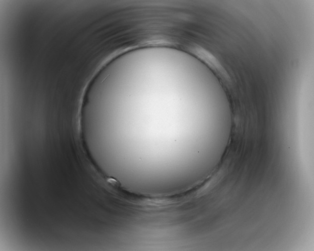 X0000089871236200707191932