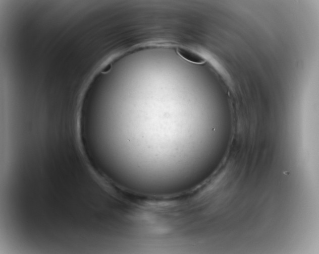 X0000089871237200707191932