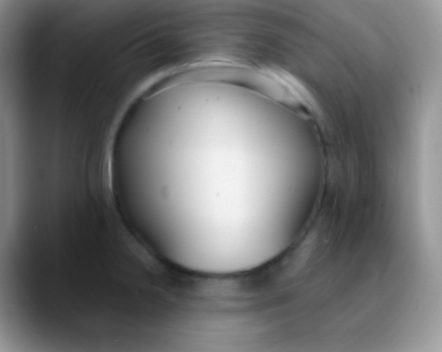 X0000089871238200707191932