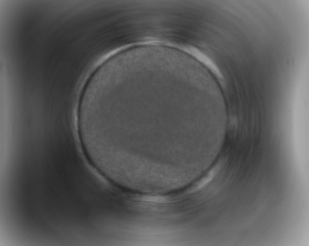 X0000089871239200707191932