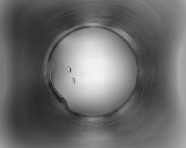 X0000089871240200707191932