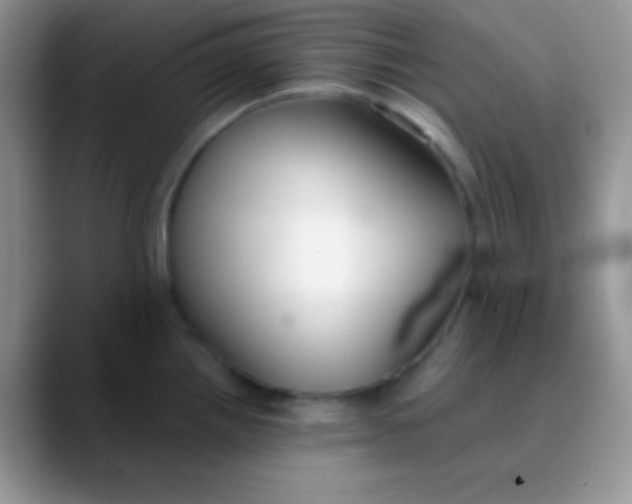 X0000089871242200707191933