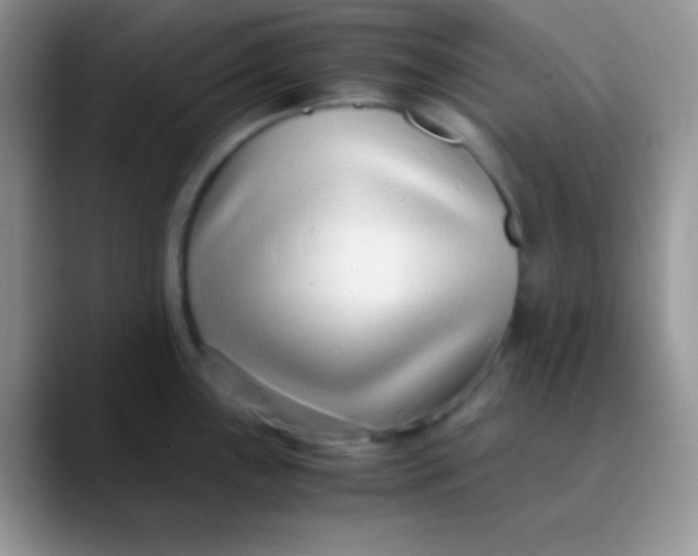 X0000089871243200707191933