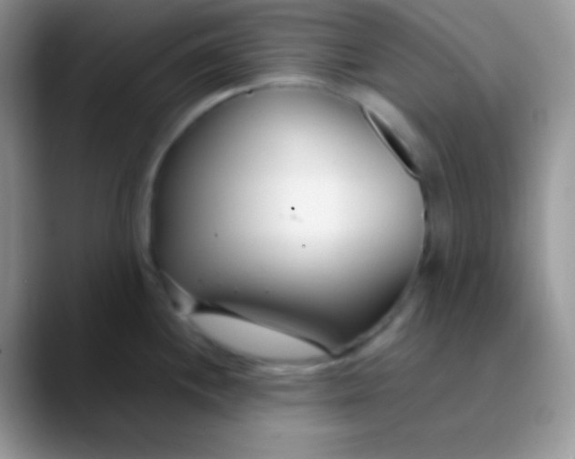 X0000089871244200707191933