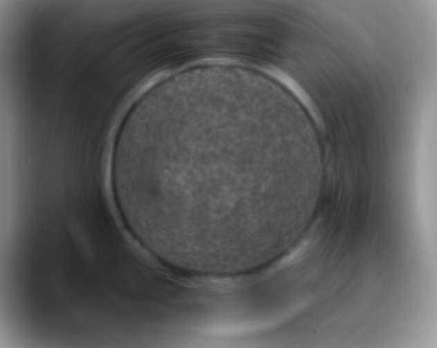 X0000089871245200707191933