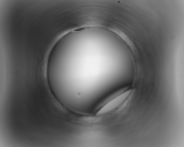 X0000089871246200707191933