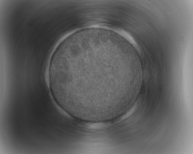 X0000089871247200707191933