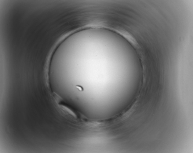 X0000089871248200707191933