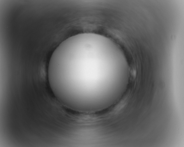 X0000089871252200707191932