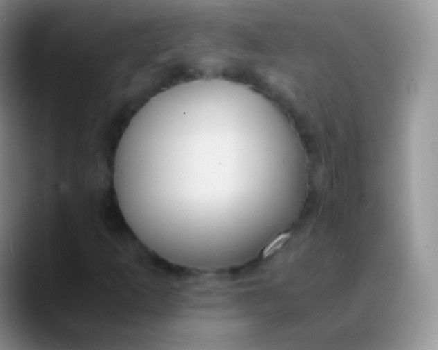 X0000089871253200707191932