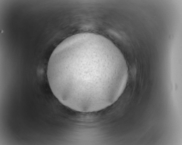 X0000089871254200707191932