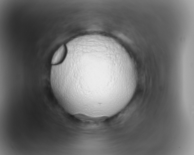 X0000089871255200707191932