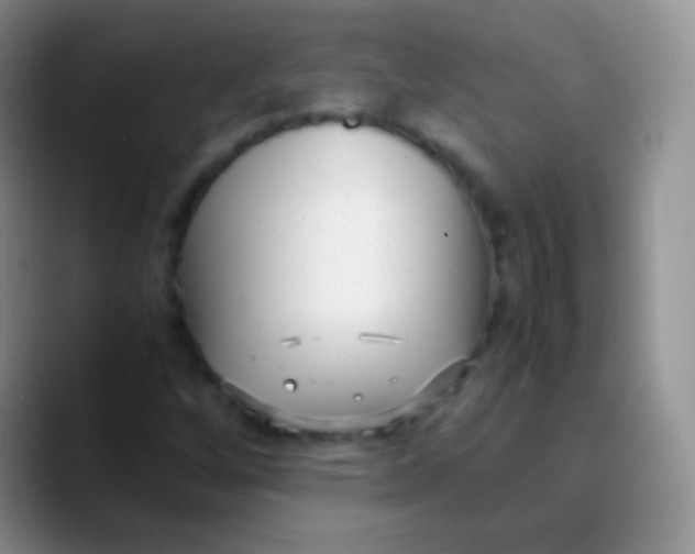 X0000089871256200707191932