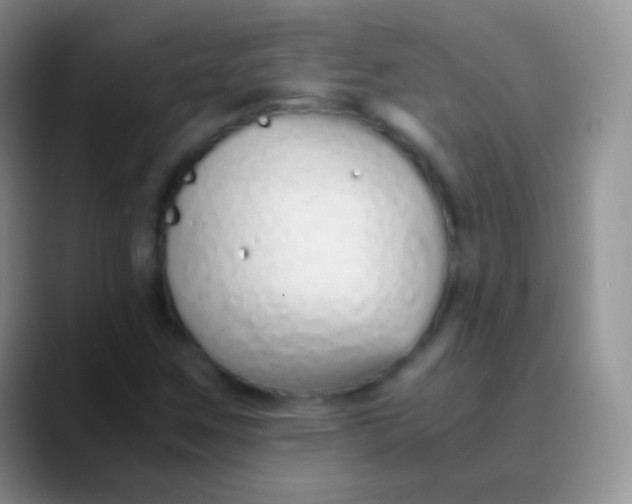 X0000089871259200707191932