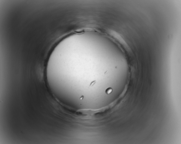 X0000089871260200707191932